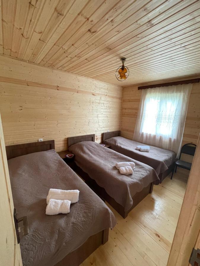 Affittacamere Warm House Kazbegi Esterno foto