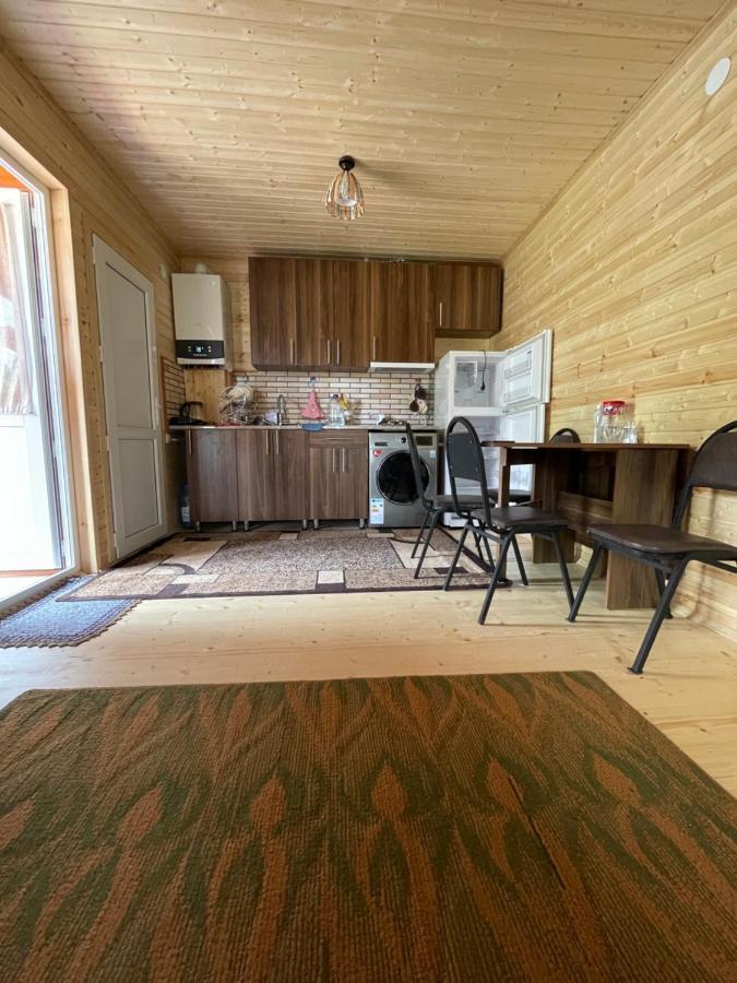 Affittacamere Warm House Kazbegi Esterno foto
