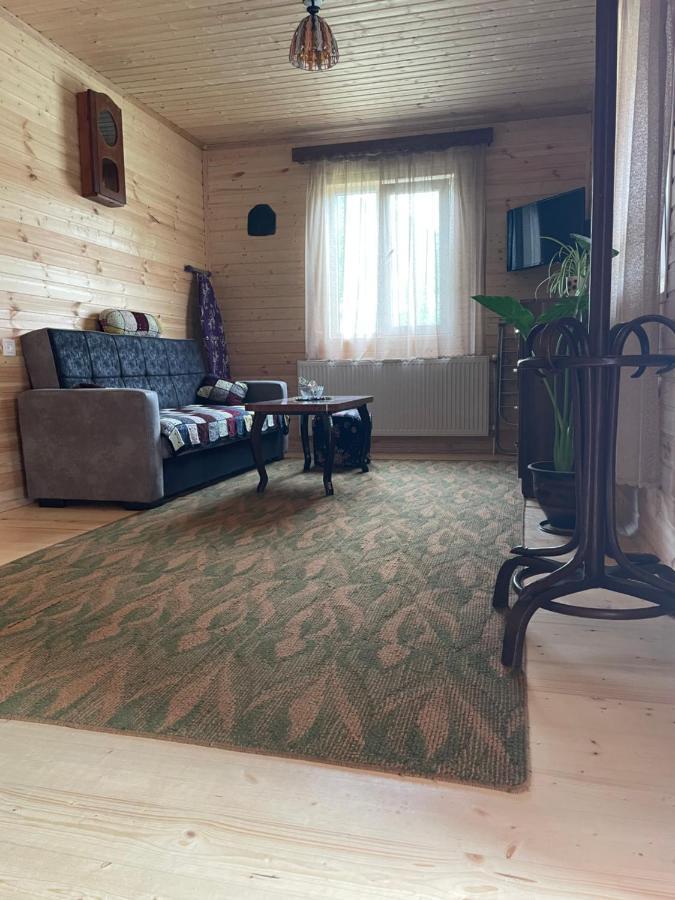 Affittacamere Warm House Kazbegi Esterno foto